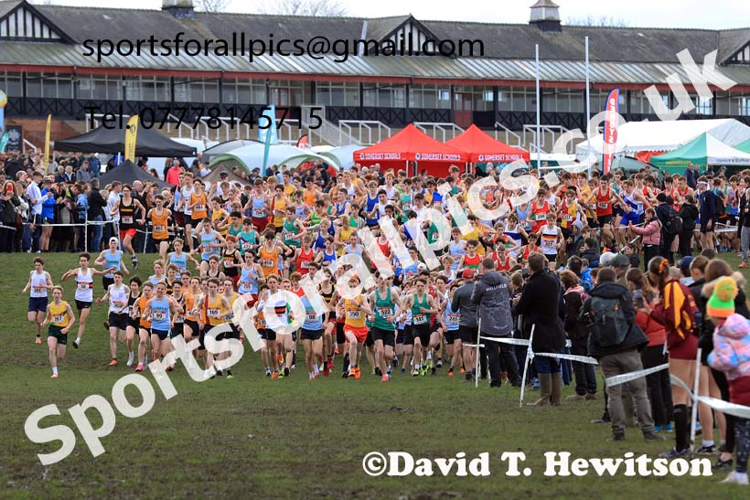 Intermediate Boys 2024 English Schools Cross Country Champs., Pontefract, March 16th.  Photo: David T. Hewitson/Sports for All Pics
